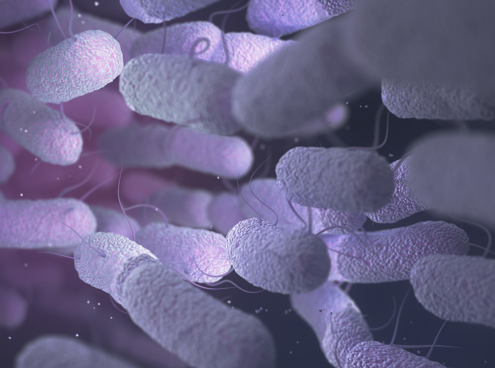 Overcoming the challenges of Raman microscopy with O-PTIR spectroscopy