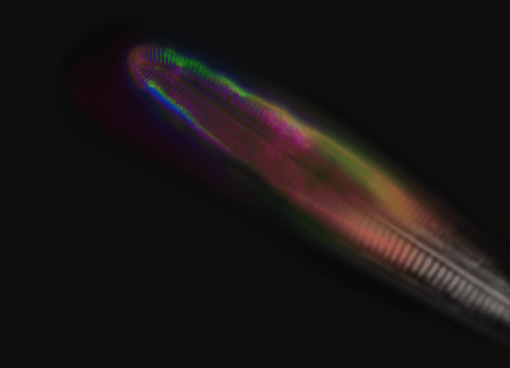 Tissue and cell imaging mIRage-LS