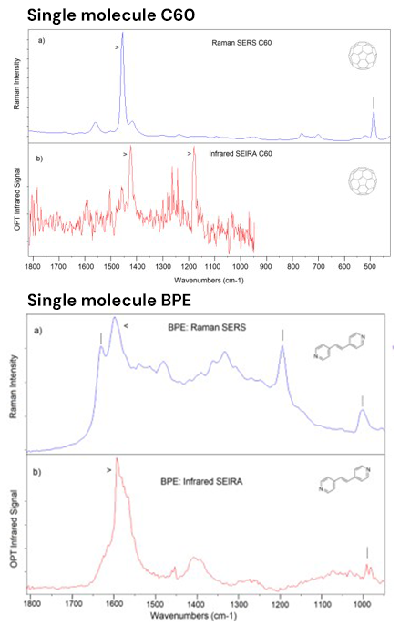 Single Molecule Sensitivity with Simultaneous surface enhanced IR and Raman spectroscopy
