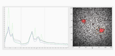 Advancing biopharmaceutical analysis