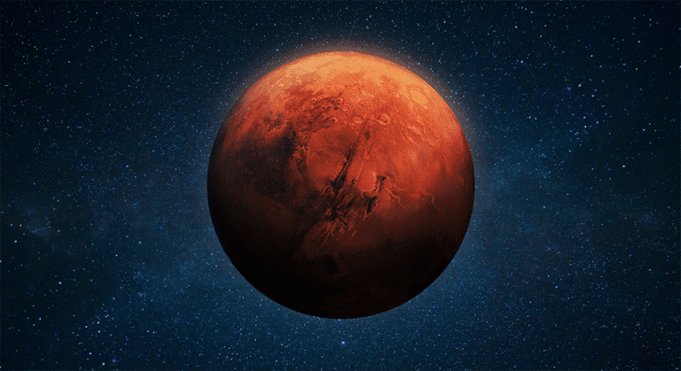 Microbial Life in Mars-Analogue Materials