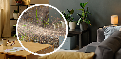 Indoor surface chemistry variability