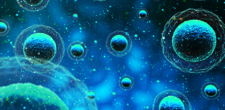 Photothermal Infrared Imaging of Nanoplastics in Human Cells with Nanoscale Resolution